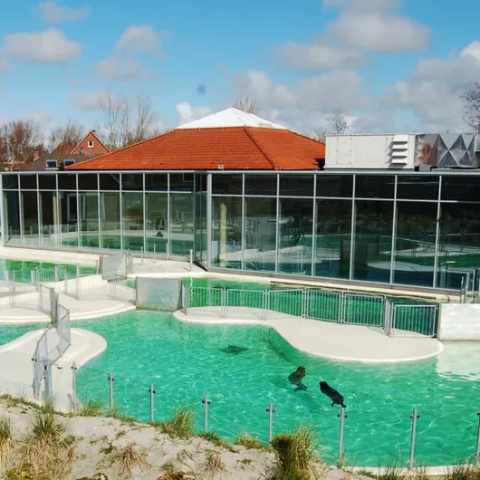 Ferienhaus Pelikan &ndash; Bild 17